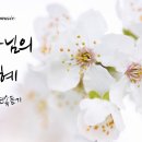 하나님의 은혜 피아노 연주 1시간 연속듣기 이미지