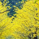 일렁이는 이미지