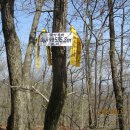 우회도로삼거리(우) | 모악지맥 1구간(운암삼거리~지맥분기점~엄재~국사봉~밤티재)