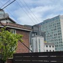 위고인 호스텔 이미지