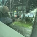 썅지화 | 식사는 없어