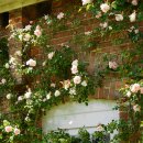 상업용1 이미지