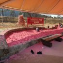 대가야생활촌 먹거리마을 이미지