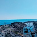 올레풍차 이미지