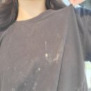 예당 앤 다울 이미지