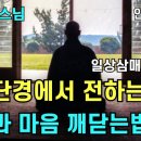 육조단경과 일상삼매 일행삼매 이미지