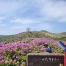 삼우촌식육식당 | 합천 황매산 철쭉축제 5월 1일 군락지 개화상황-정상주차장 먹거리&amp;한우 맛집 삼우촌 후기