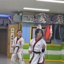 도원태권도장 이미지