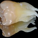 한스치과의원 이미지