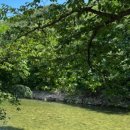 대추나무산장 이미지