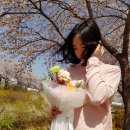 홀리피앗