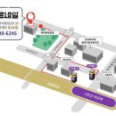아무르네일
