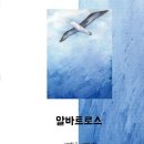 알바트로스 이미지