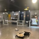 (주)위드독 이미지