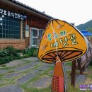 버섯골 이미지