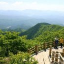 외씨버선길(치유의길) 이미지