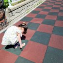 금형농장 이미지