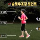슬로우도 이미지