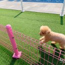 플레이 바우 이미지