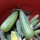 남동족구장 이미지