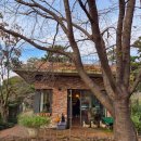 은지네김밥 이미지