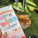 지연이네 강아지 고양이 수제간식 | 2024 용인시 반려동물 문화축제 방문후기