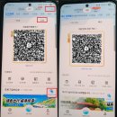 ANT편의점 | 「💳 알리페이」💳 중국 여행 필수 앱? 알리페이 완전 정리! 사용법부터 수수료까지 한눈에
