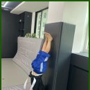 강호 합기도 | 부산합기도 강호합기도 온천수련관, 건강과 인성 배양의 무대