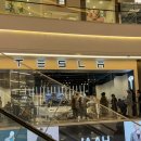 테크니컬오토 | 테슬라 모델y 모델yl 전기차 보조금 받을수 있을까? 하남스토어 전시장 계약 후기