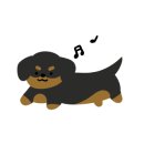 톰과 제니 동물메디컬센터 이미지