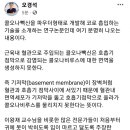 [건강이슈] 혈관 주입 코로나 백신은 호흡기 점막 감염 비루스 면역을 생성하지 못한다 이미지