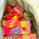 명지바람 | 4회 부산 강서 어린이날 큰잔치 명지 근린공원 후기