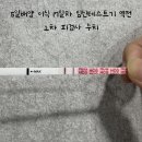 15,16,17 | 5일배양 배아이식 13일차 14 15 16 17 18일차 피검사 더블링 임테기 역전
