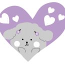 라소(laso) 이미지