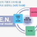 씨유안경콘택트 이미지