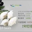 백년장례문화원