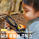 벅스네 | 인천 아이랑 실내동물원 쥬벅스 내돈내산 후기