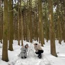 사려니숲길주차장 이미지