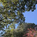 기념비 | 미야자키현 휴가시 미미쓰 역사 지구 &amp; 일본 해군 발상 기념비 방문 후기