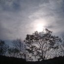 대전광역시립미술관 이미지