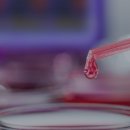 주식회사 제이비케이 이미지