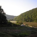 재농장 Daum카페