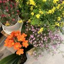 클루마 | [한주기록] 0309 - 0315 : 나아가는 삶