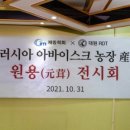 경희천통한의원 네이버블로그