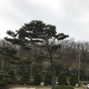 강화품안에펜션 | 강화도 펜션 추천 품안에, 너무나 좋았던 곳
