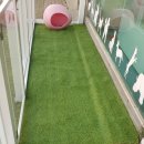 프리티 도그 이미지