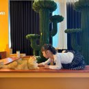 CU전주해성점 | 전주 고양이 카페 아이와 가볼만한 곳 - 신시가지 묘해저택