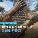 장성호관광지 티스토리