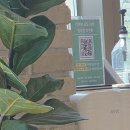 pine카페 | <원주 예쁜 야외 정원카페 추천> PINE CAFE 피네카페 후기.♥︎