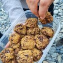 가덕도 동백군락지 이미지